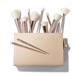 Ultimate Brush Set